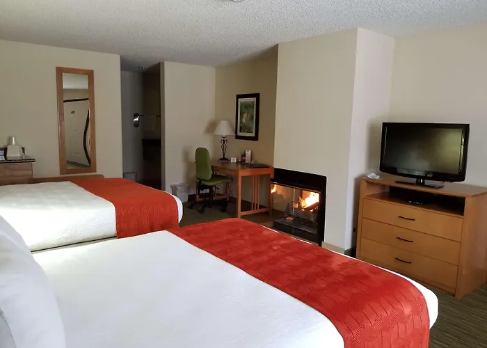 Hotel Western Paint Pony