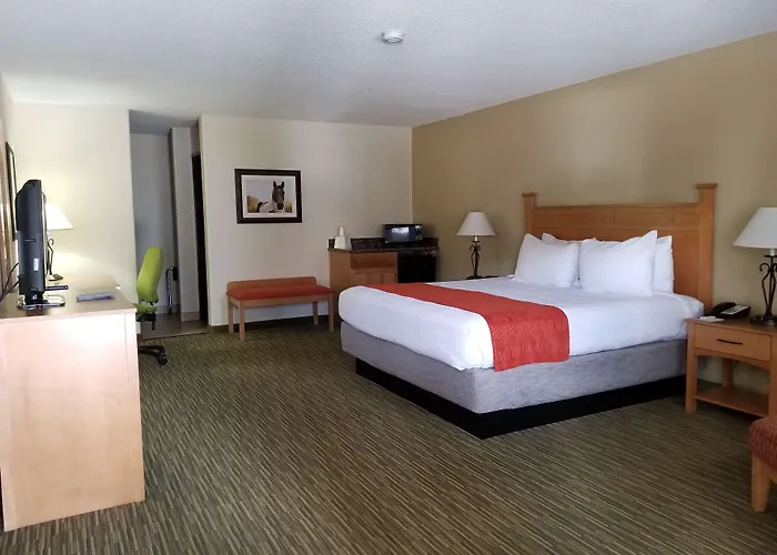 Hotel Western Paint Pony 2*