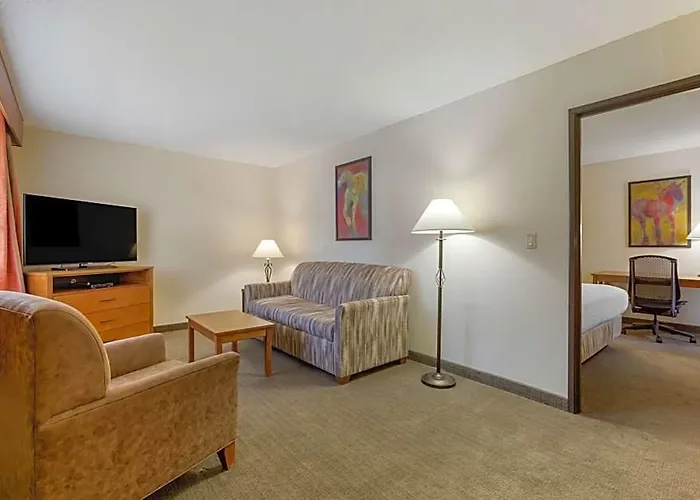 Western Paint Pony Hotel