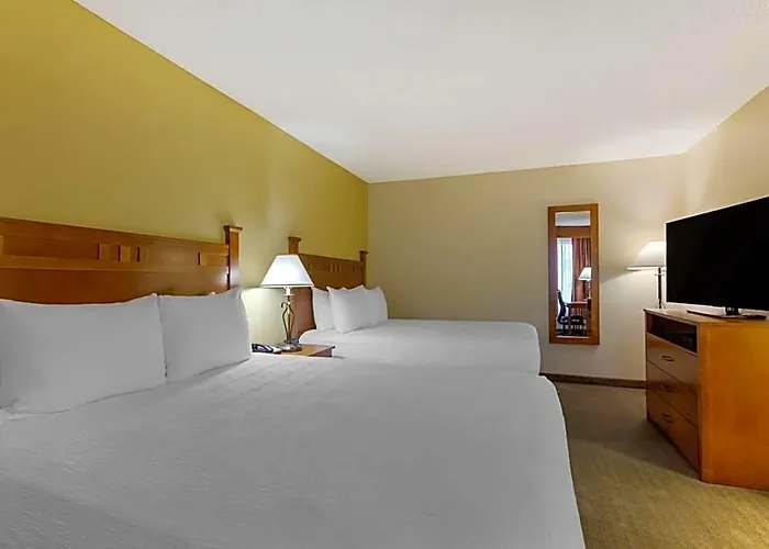 Hotel Western Paint Pony