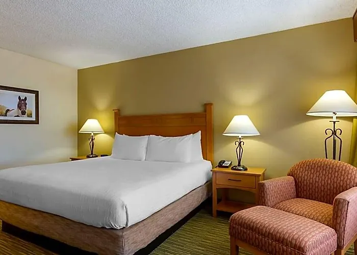 Western Paint Pony Hotel 2*