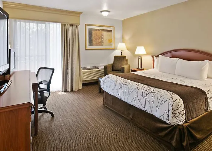 Western Paint Pony Hotel