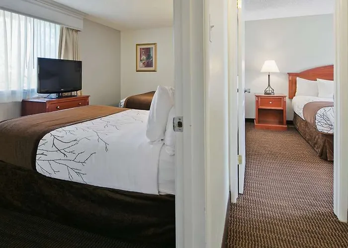 Western Paint Pony Hotel