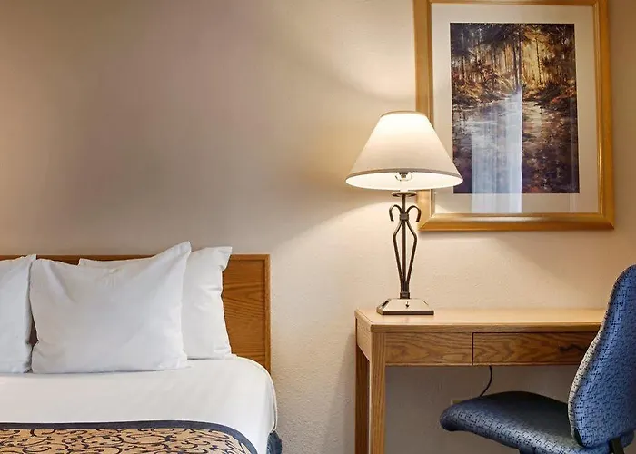 Western Paint Pony Hotel