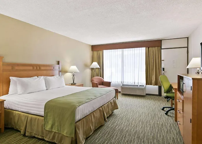 Hotel Western Paint Pony